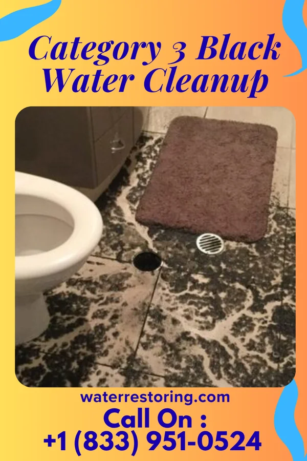 Category 3 Black Water Cleanup in Tintah, MN