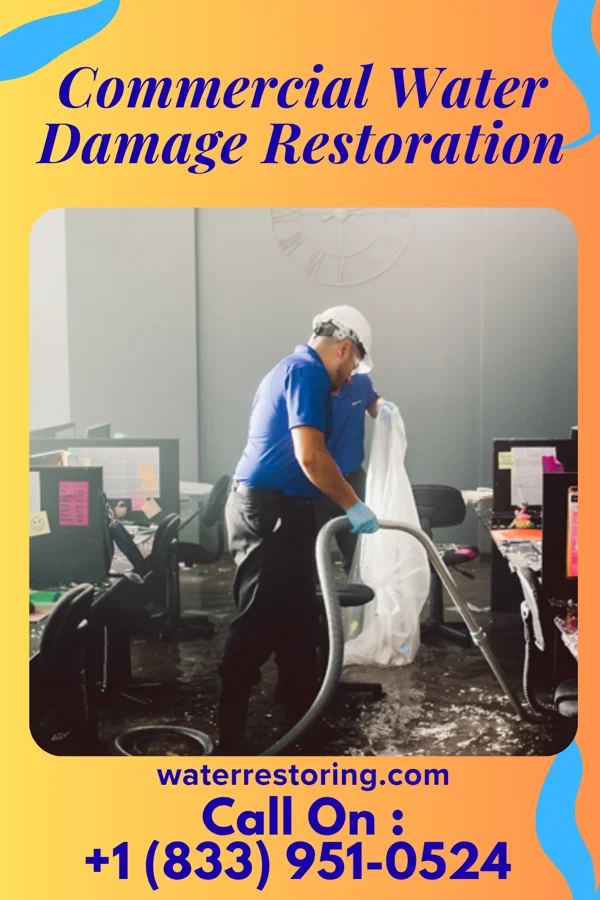 Commercial Water Damage Restoration in Tintah, MN